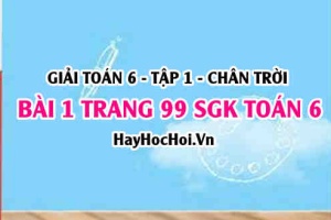 Giải bài 1 trang 99 Toán 6 Tập 1 SGK Chân trời sáng tạo: Thu thập, phân loại dữ liệu